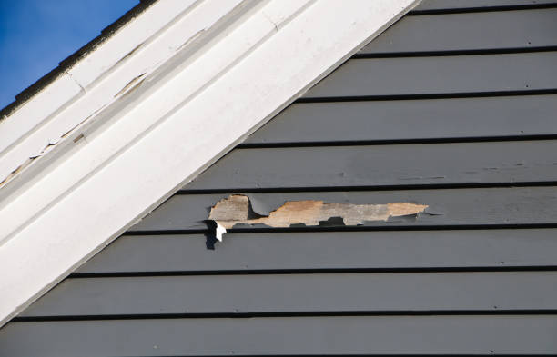Same-Day Junk Removal Services in Willow Park, TX